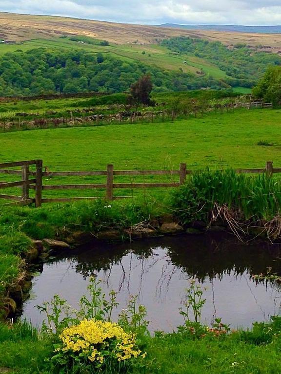 Far Moorside Farm B&B Hebden Bridge Zewnętrze zdjęcie